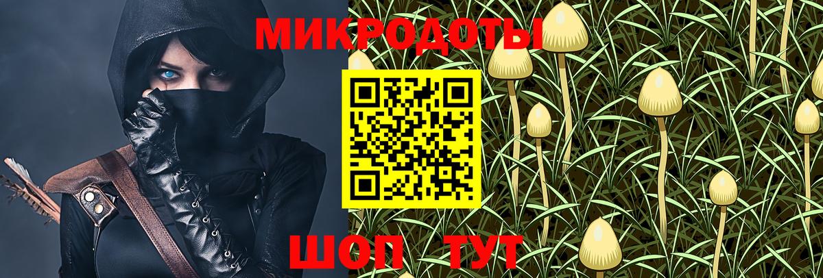 Галлюциногенные грибы MAGIC MUSHROOMS  Вход с VPN  Тайшет 